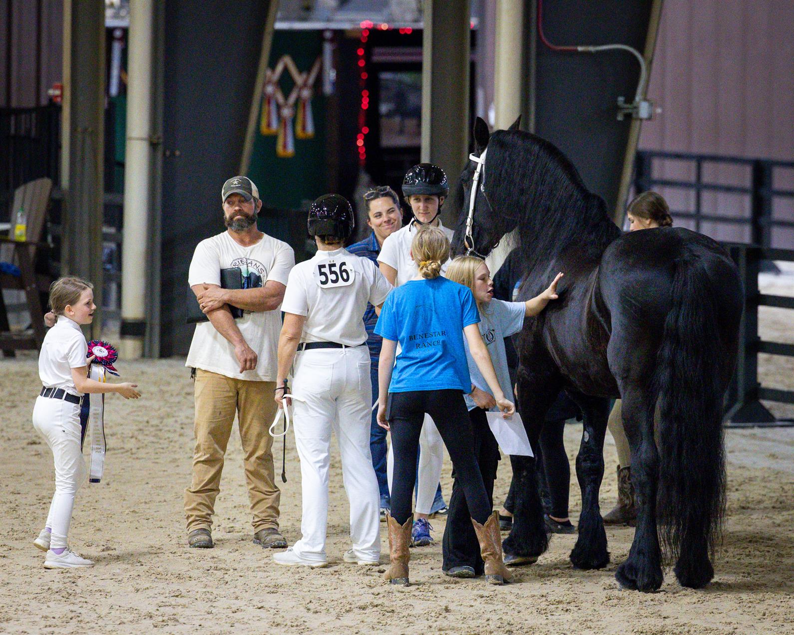 Friesian horse and fans