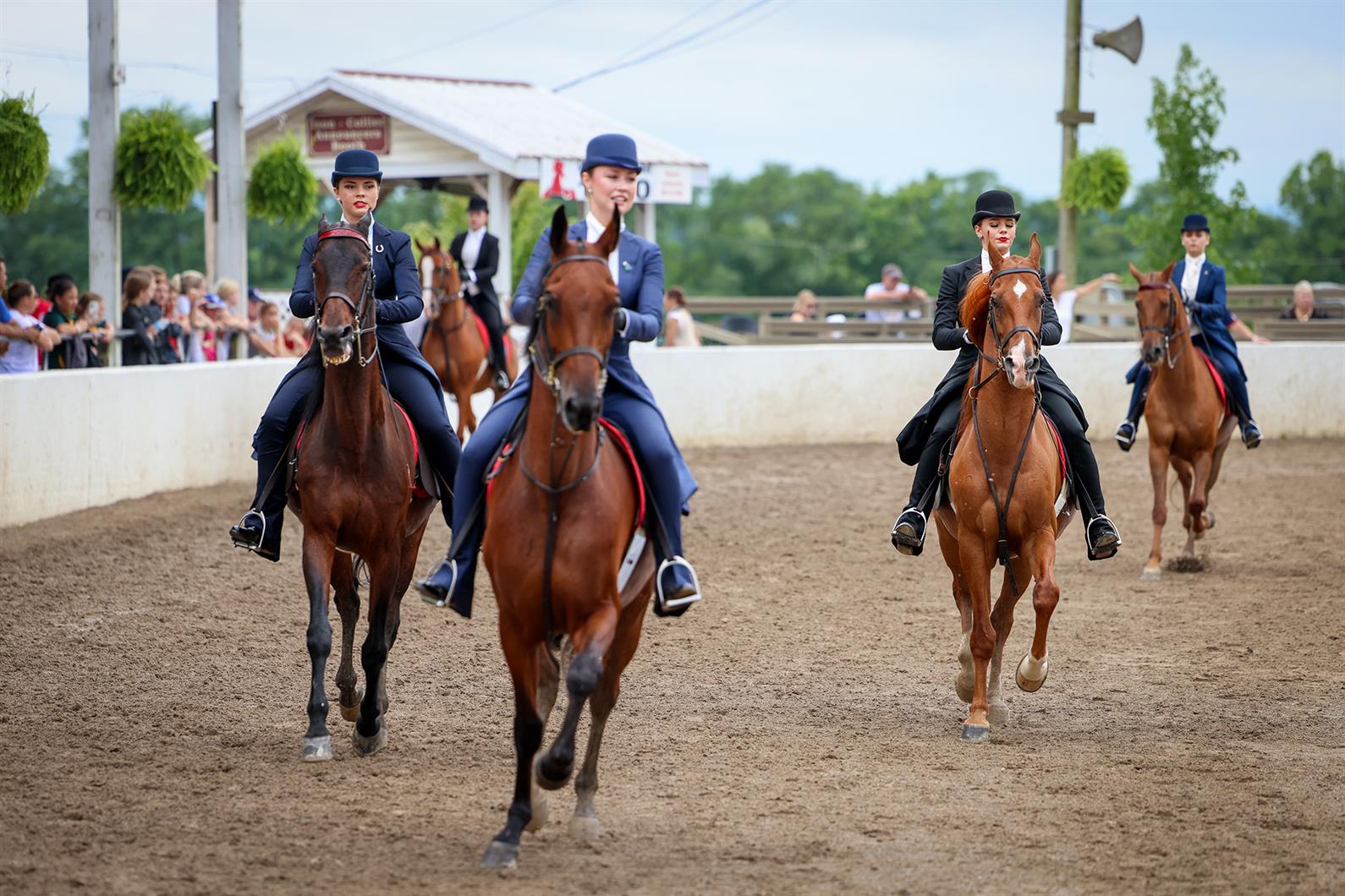 Riders competing in the 2022 Saddle Seat Equitation World Cup