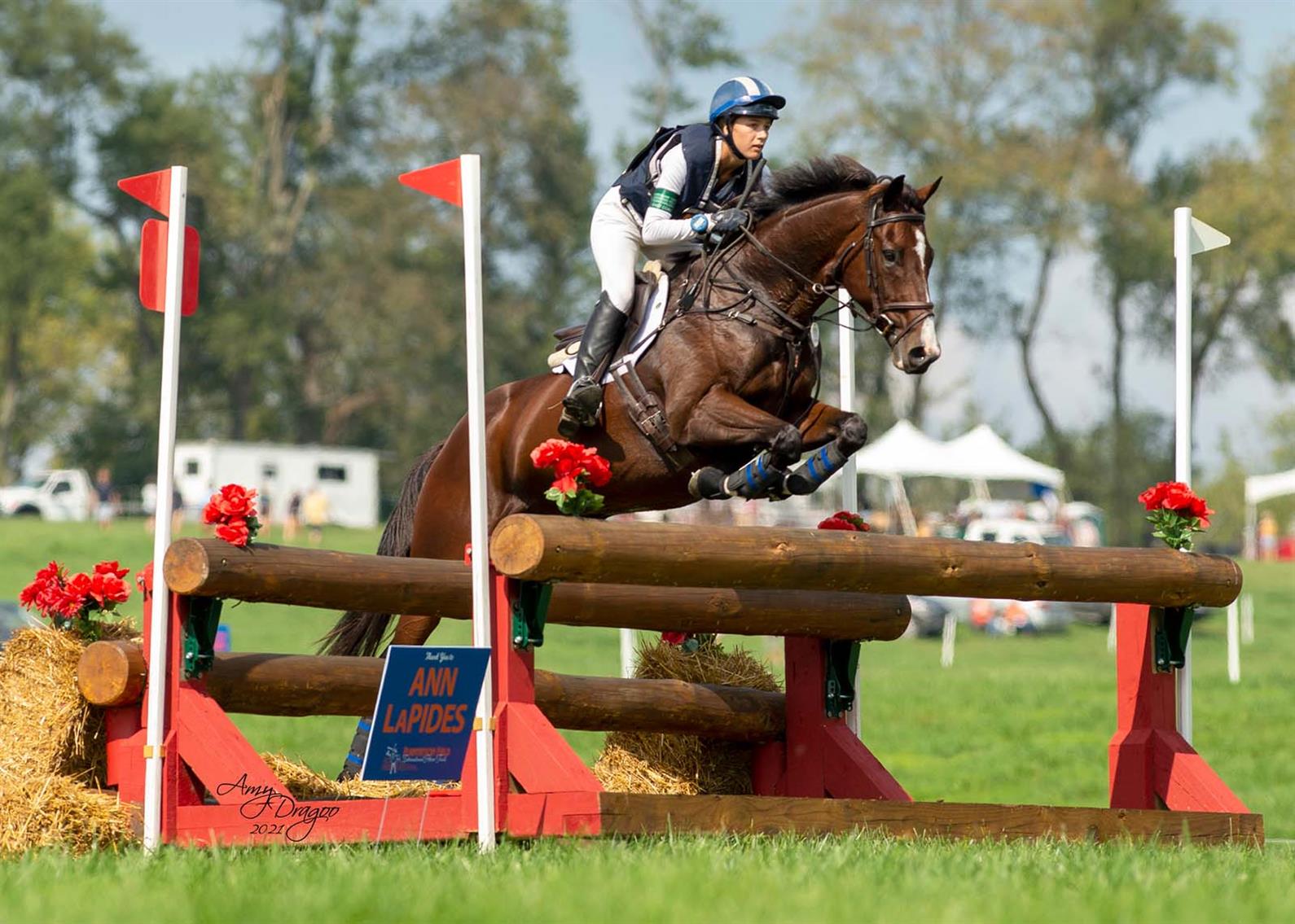 Mia Farley and Phelps clearing a cross-country oxer at the YTC Unionville