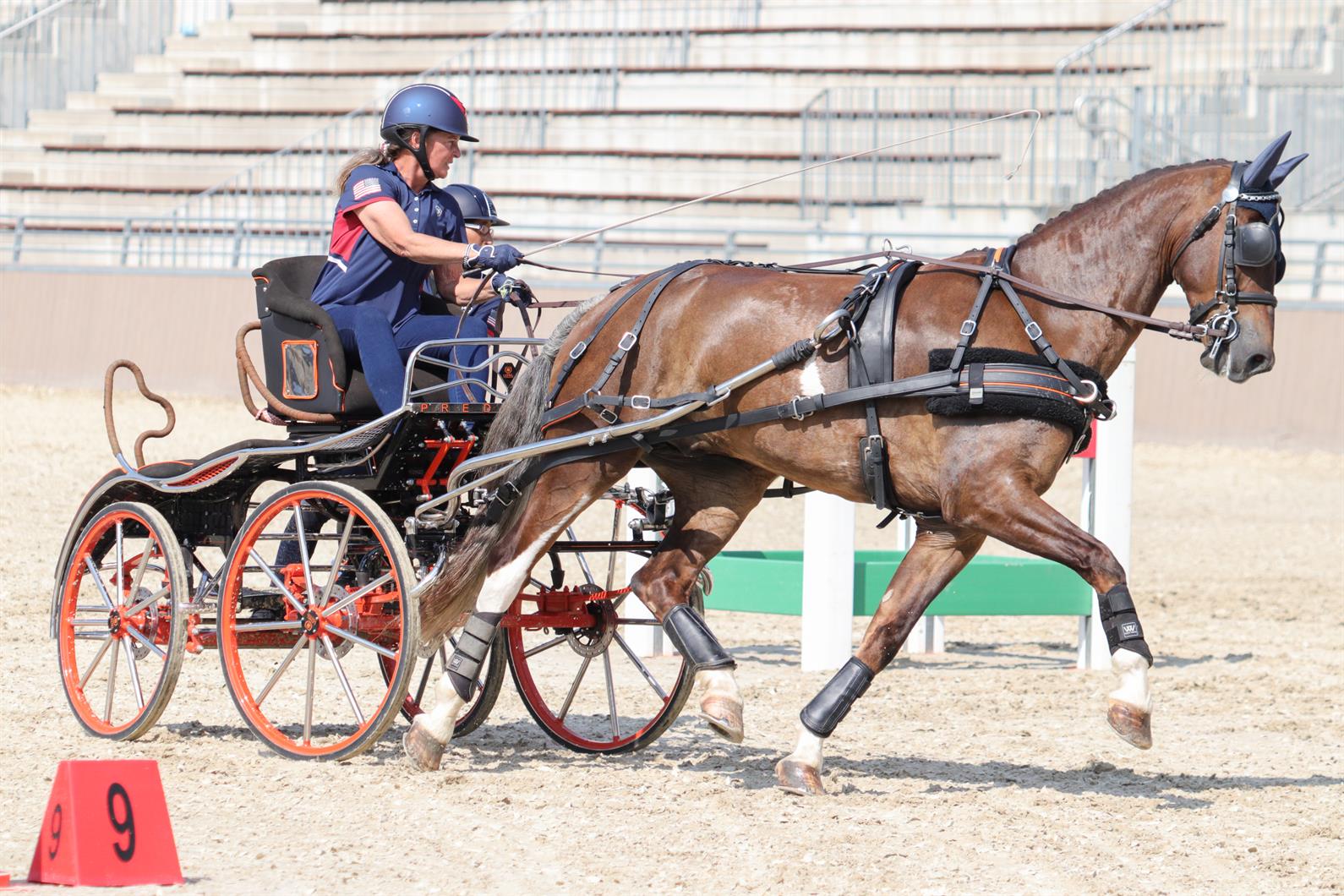 The Three Horse Race for the Primeira Liga in Portugal - LeagueLane