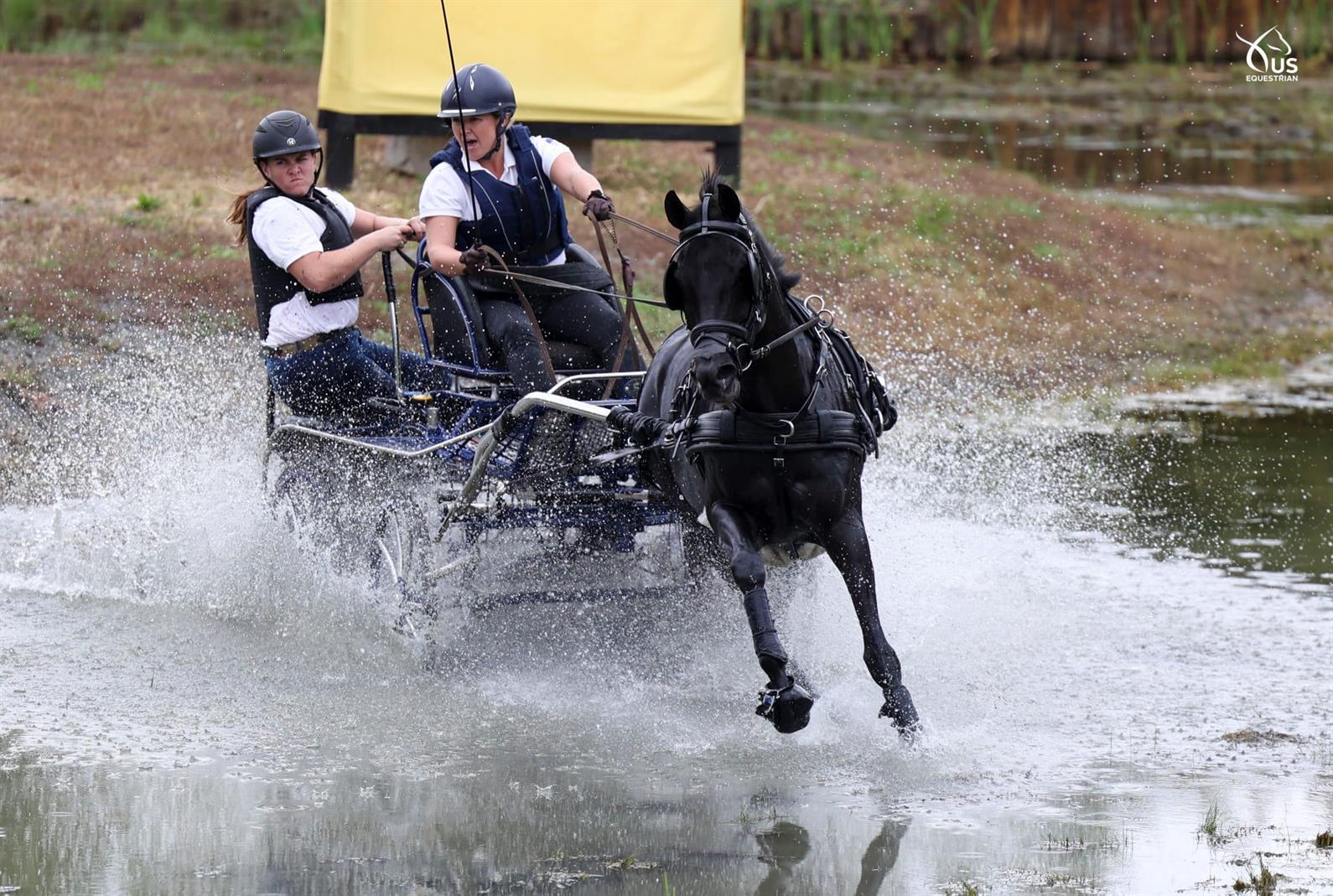 Taylor Bradish and Katydid Duchess going through the water during the marathon phase of the 2021 USEF Single Horse Combined Driving National Championship