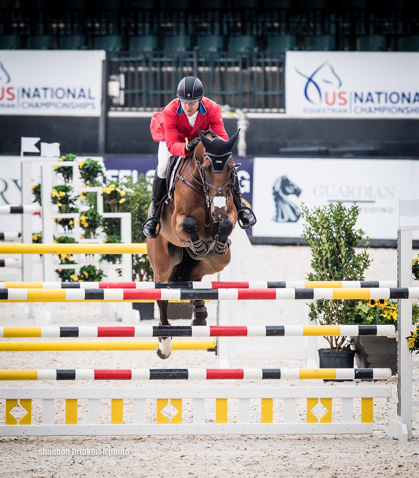 Phillip Dutton and Z show jumping