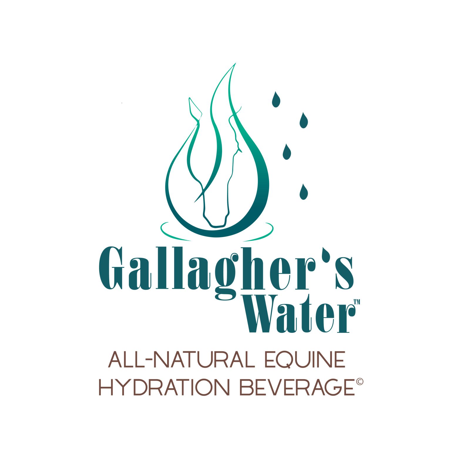 Gallagher Water