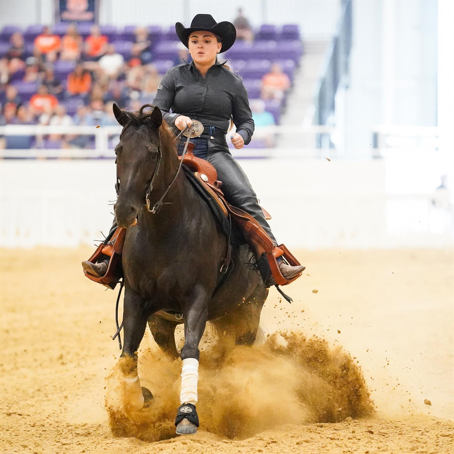 A reining competitor performing a sliding stop
