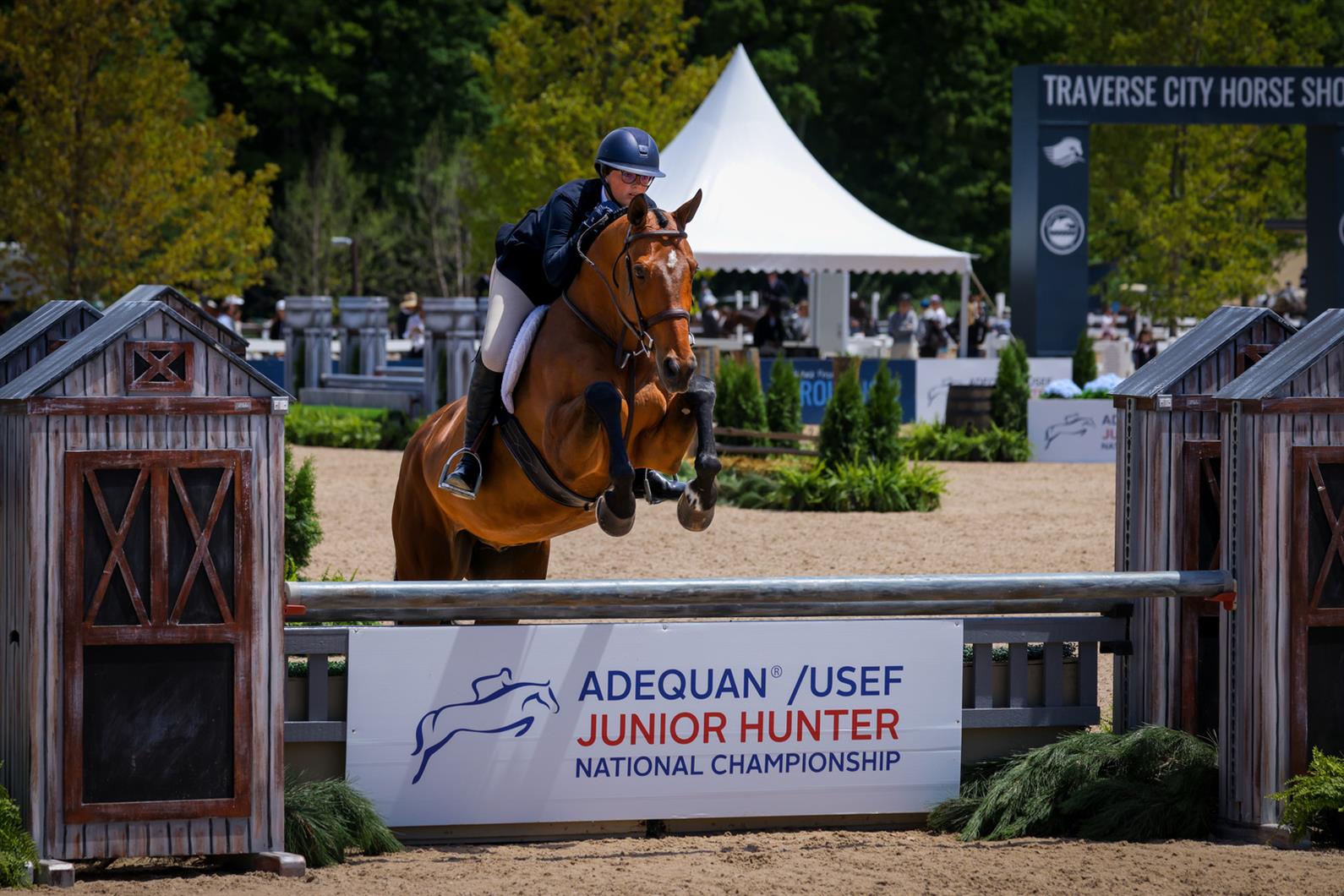 Nice to Have and Sutton Suelthaus jumping over a Junior Hunter National Championship branded jump