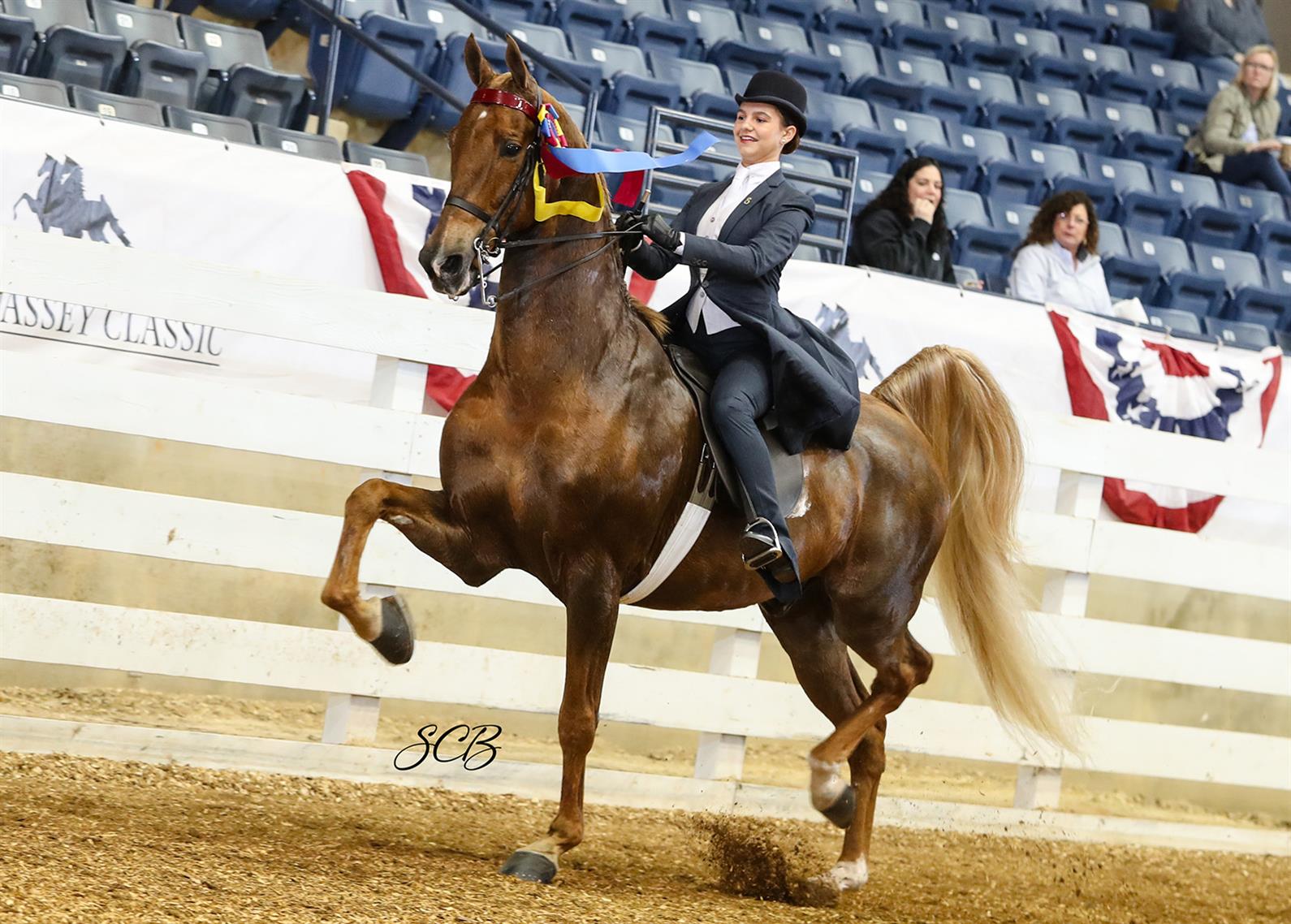 Saddle seat competitor at the JD Massey Classic Horse Show