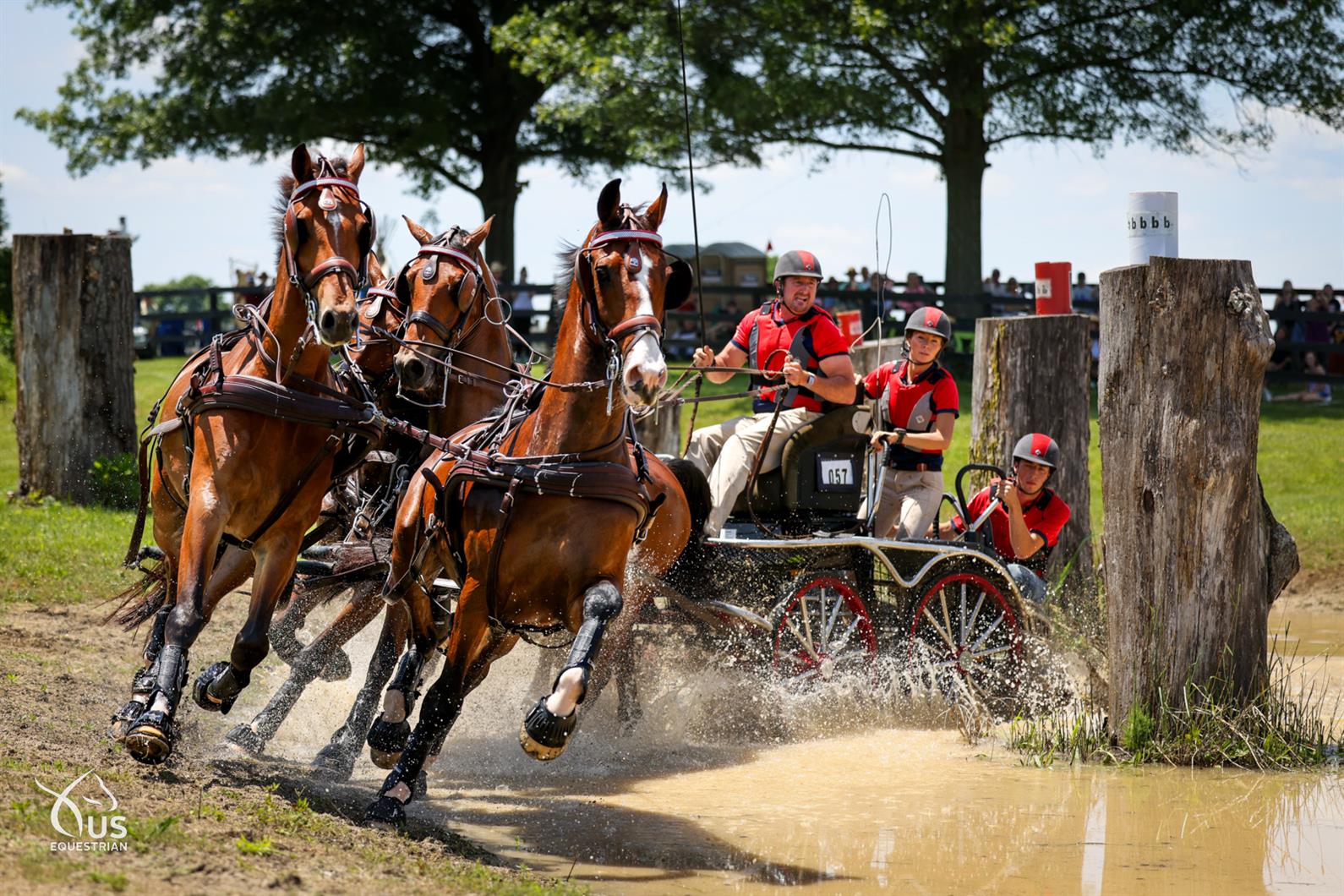 Chester Weber driving a four-in-hand team through a water obstacle