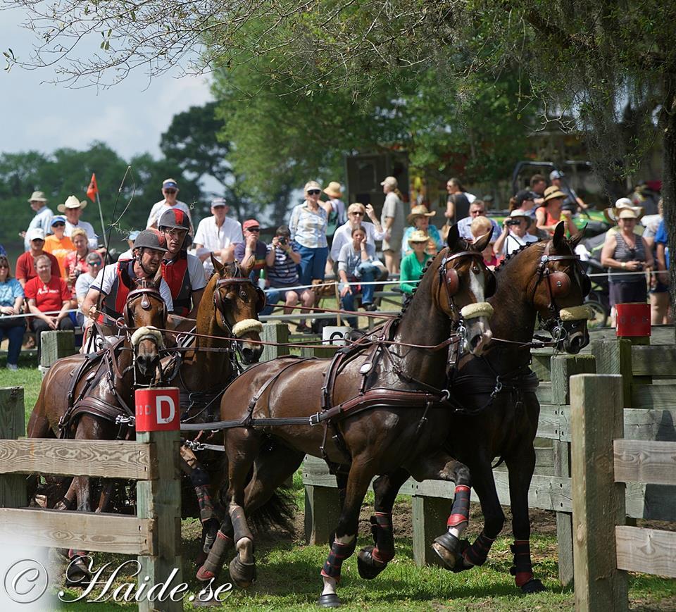 Live Oak International World-Class Driving, a World Cup Qualifier, and More US Equestrian