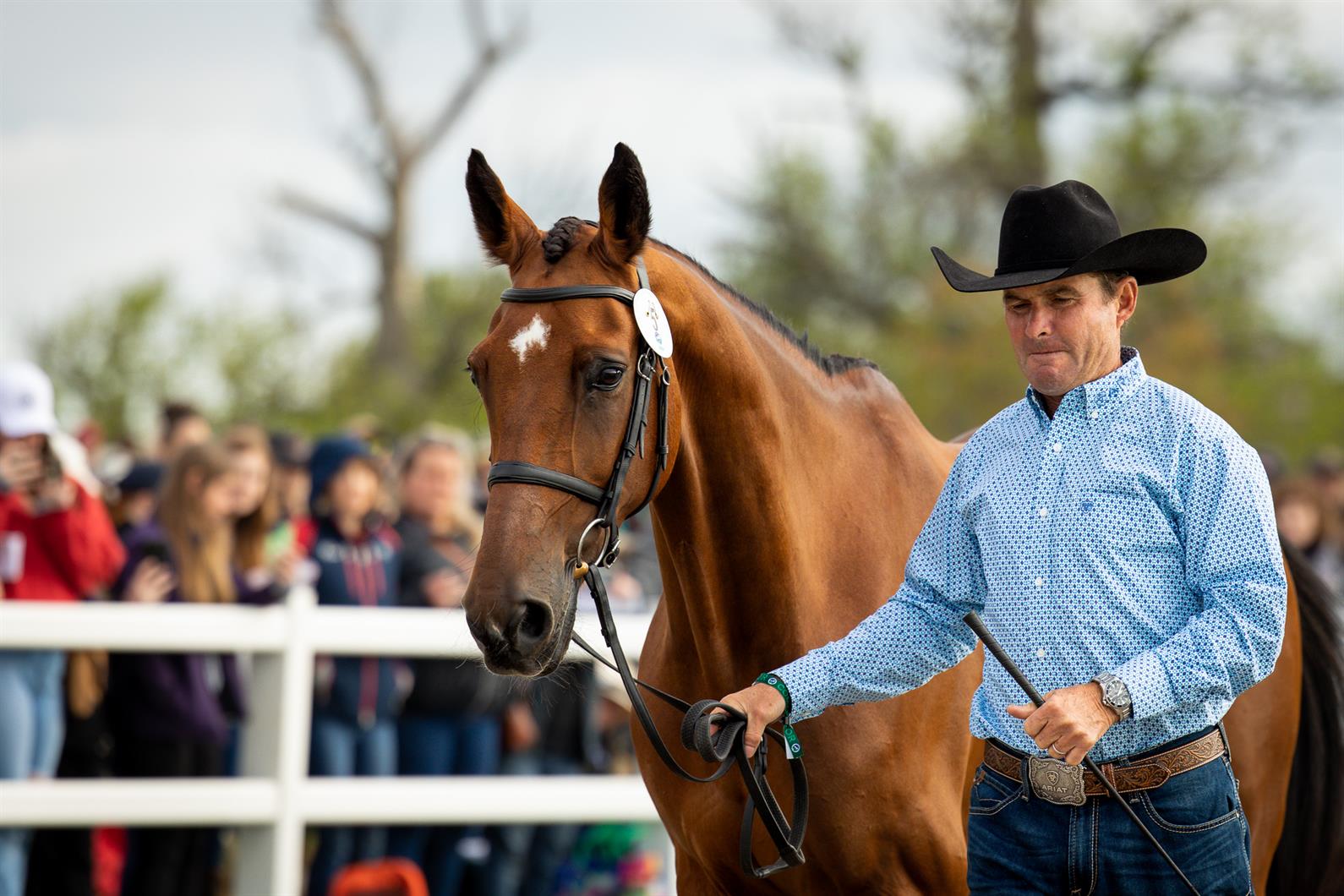 Phillip Dutton and Z in the LRK3DE second horse inspection. Phillip is wearing Ariat western wear, including a cowboy hat.