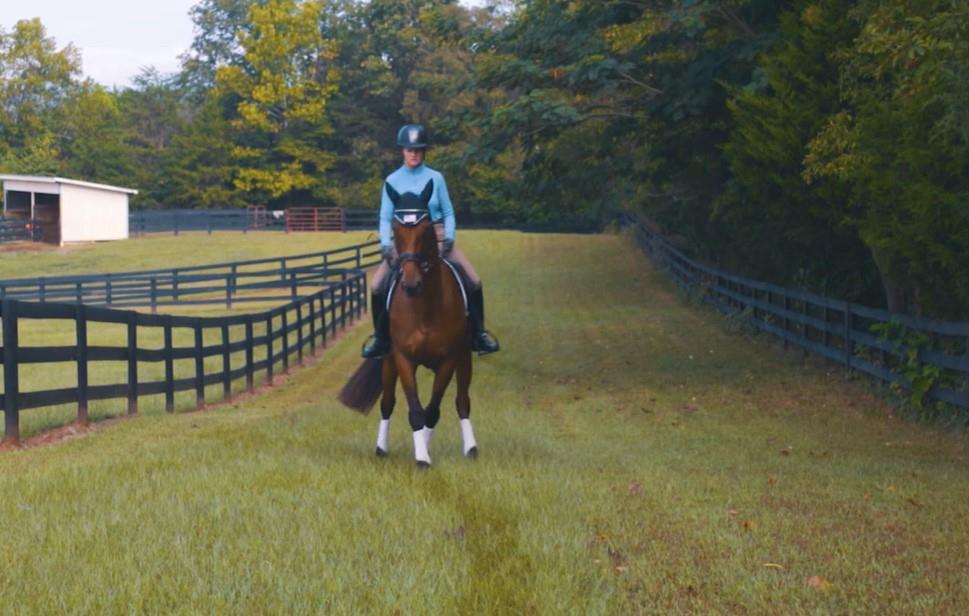 Top 3 Cross-Training Exercises for Eventing Horses
