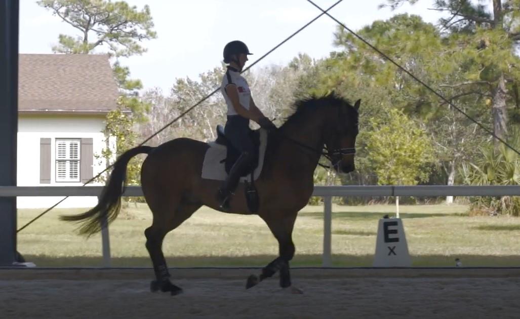 Dressage: Tips for a Successful Shoulder-In