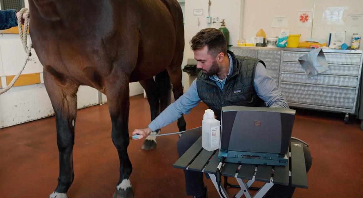 Lameness Exams with Dr. Evan Becker