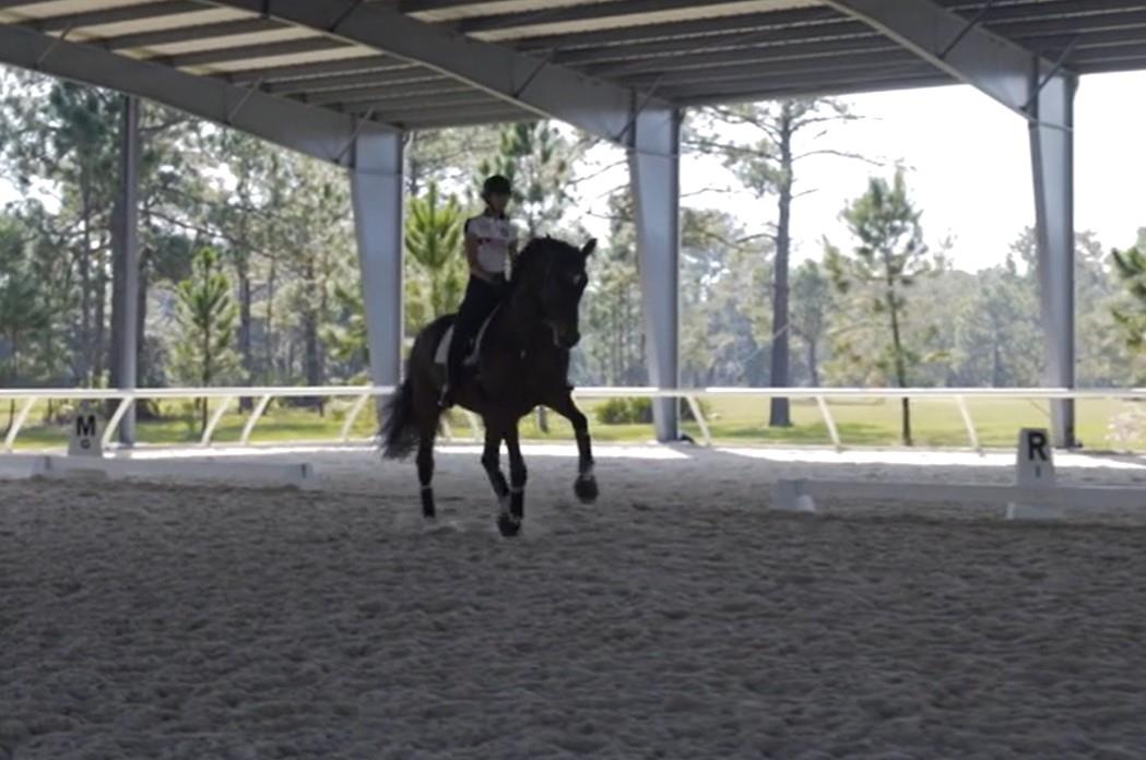 Dressage: How to Teach a Flying Change