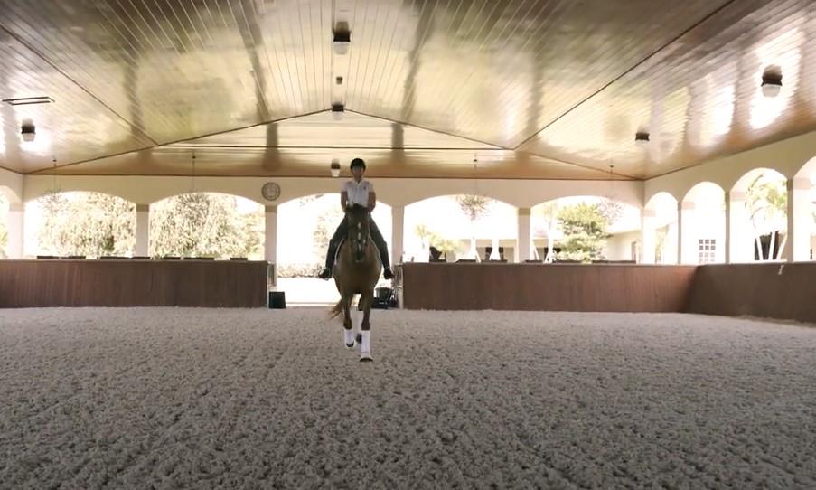 Dressage: Five Tips for Riding a Perfect Centerline