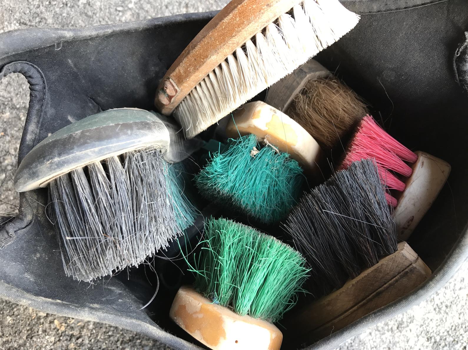 how to clean horse brushes