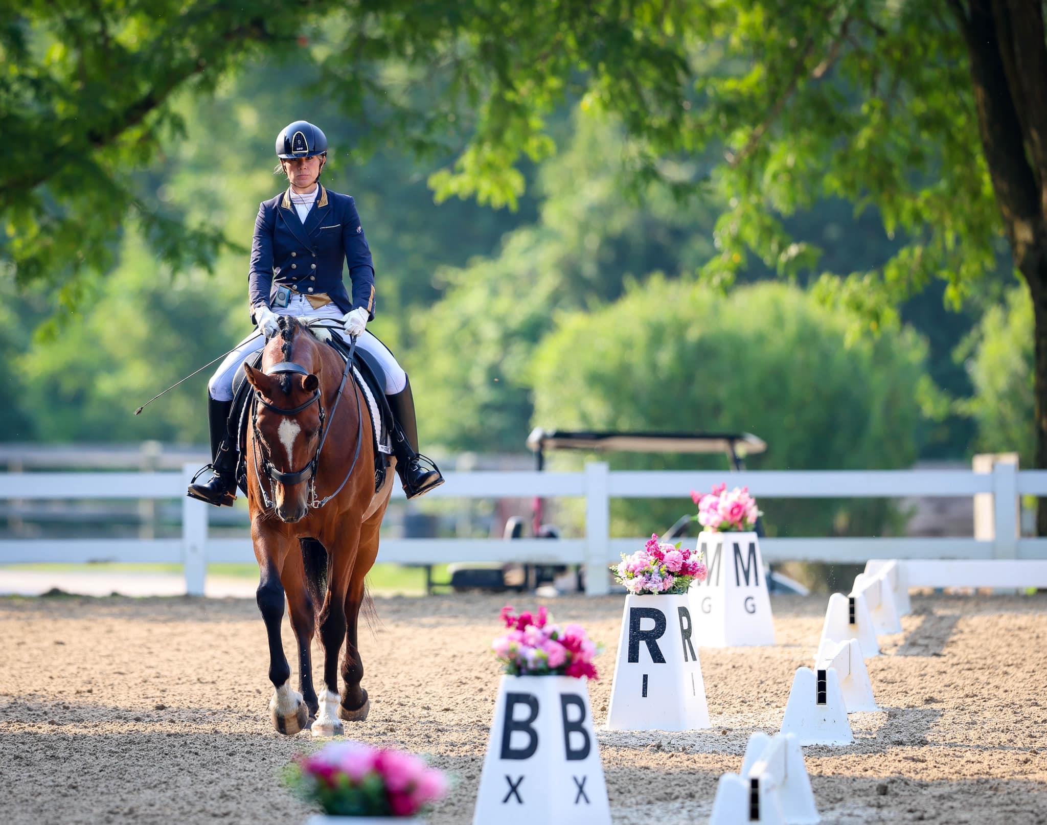 Photo showcasing the United States Dressage Festival of Champions