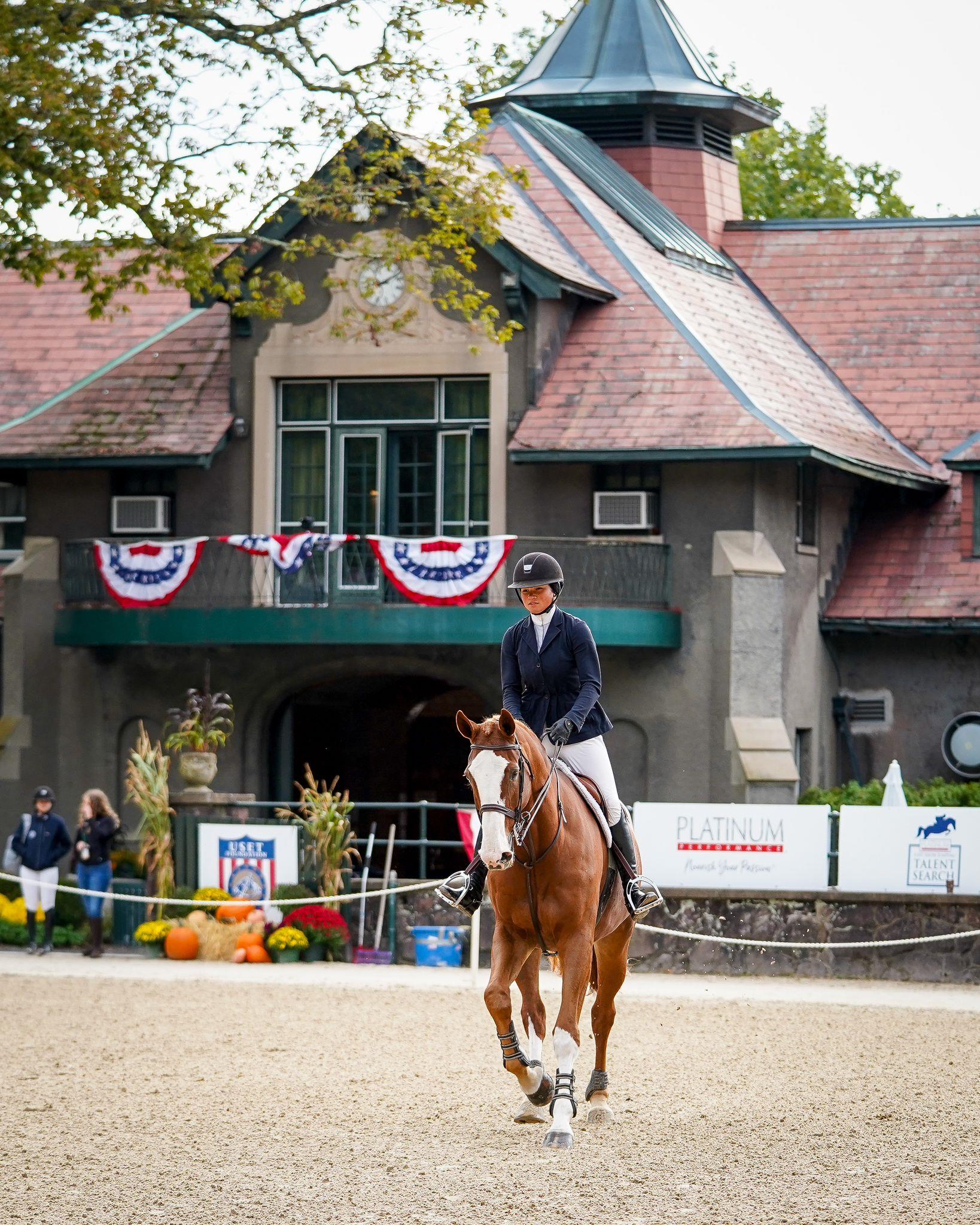Photo showcasing the Platinum Performance/USEF Show Jumping Talent Search Final-East