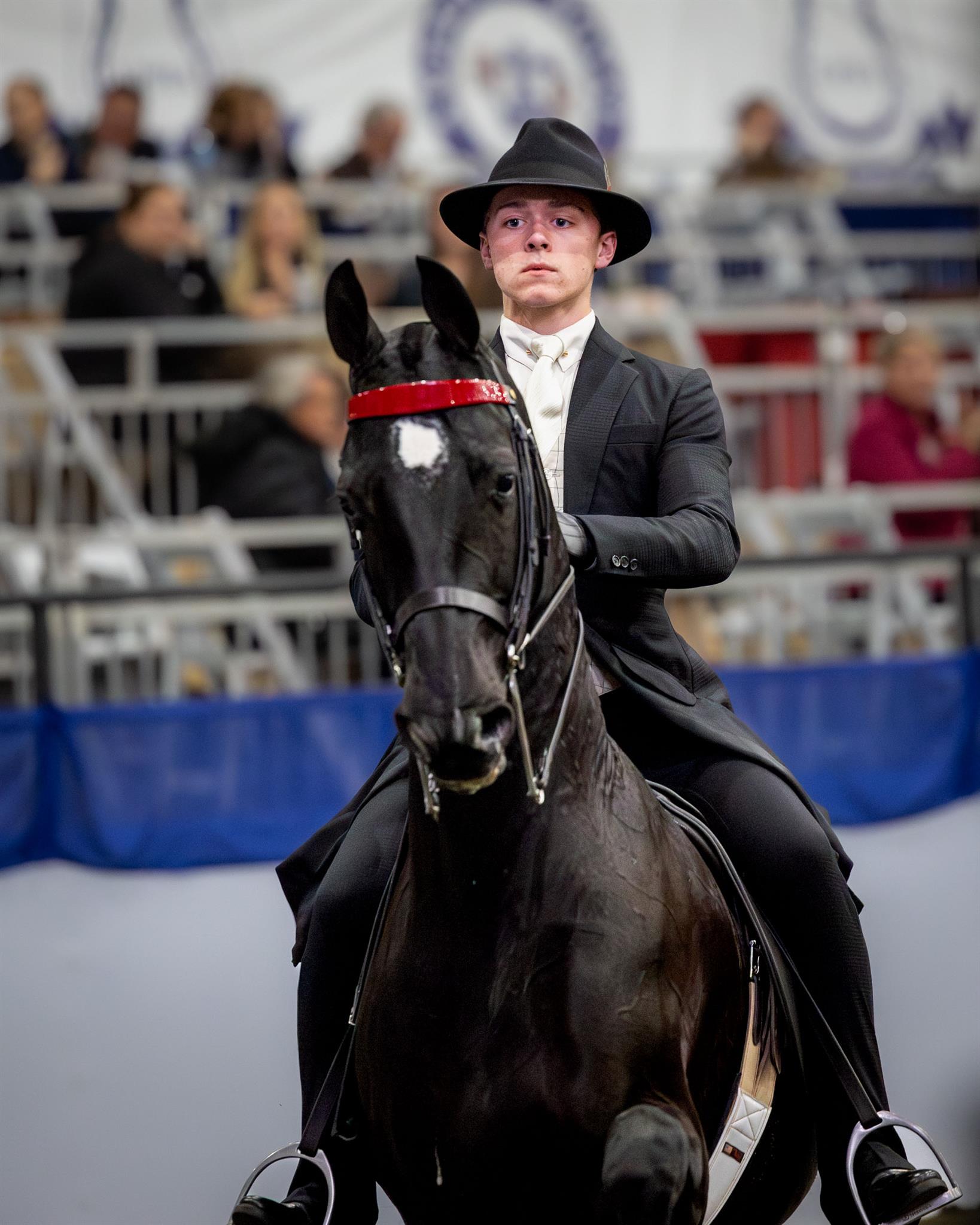 Photo showcasing the USEF Saddle Seat Medal Finals