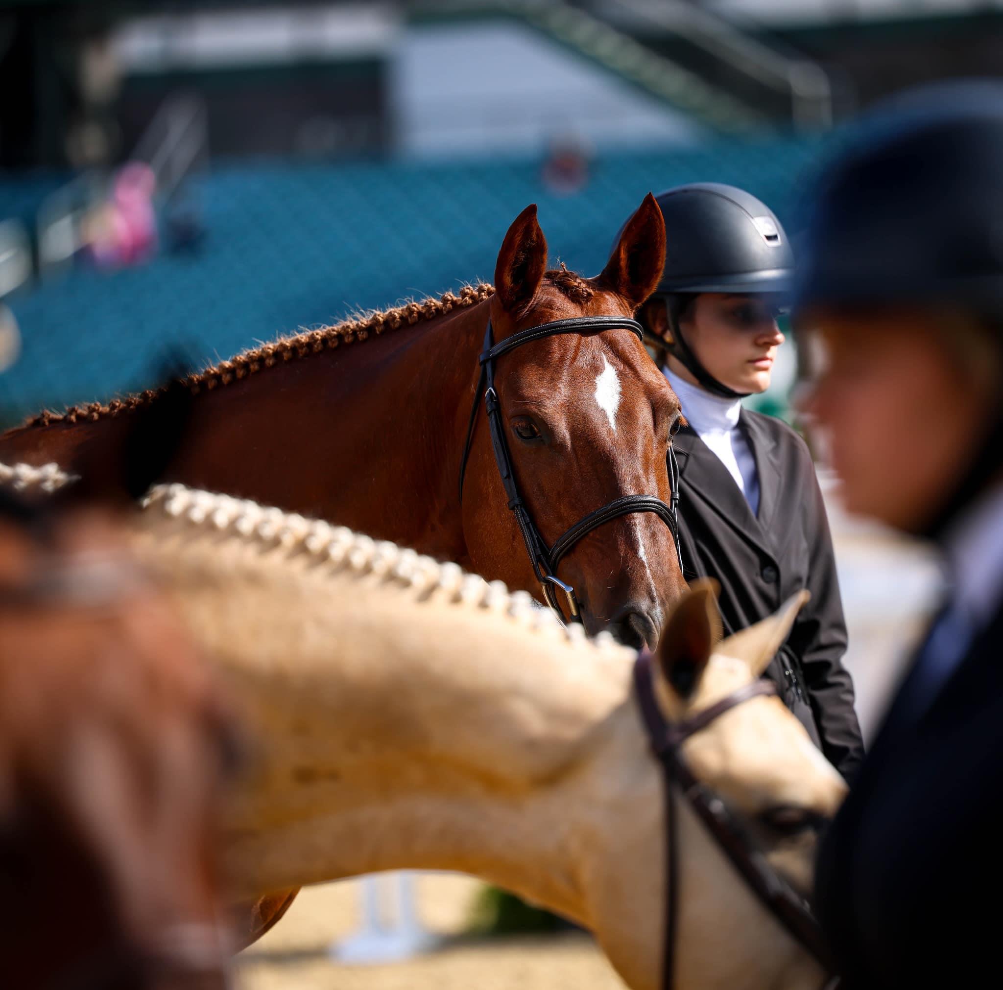 USEF Pony Finals presented by Honor Hill Farms US Equestrian